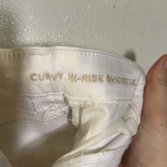 Bnwot American Eagle Curvy Hi-Rise Shorties Size 0 - Picture 4 of 5